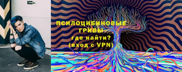 амф Абаза
