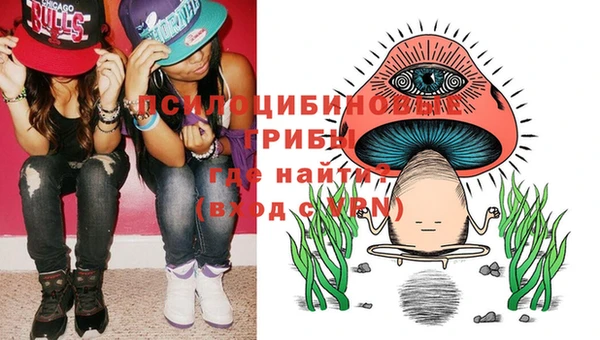 бошки Абдулино