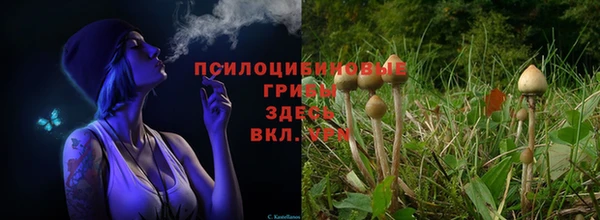 амф Абаза