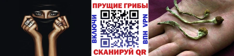 Галлюциногенные грибы MAGIC MUSHROOMS  Североморск 