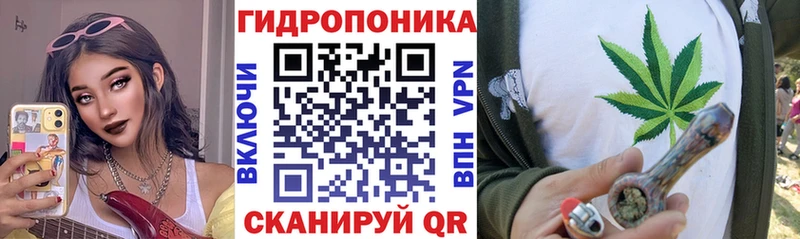Шишки марихуана планчик  купить наркоту  Североморск 